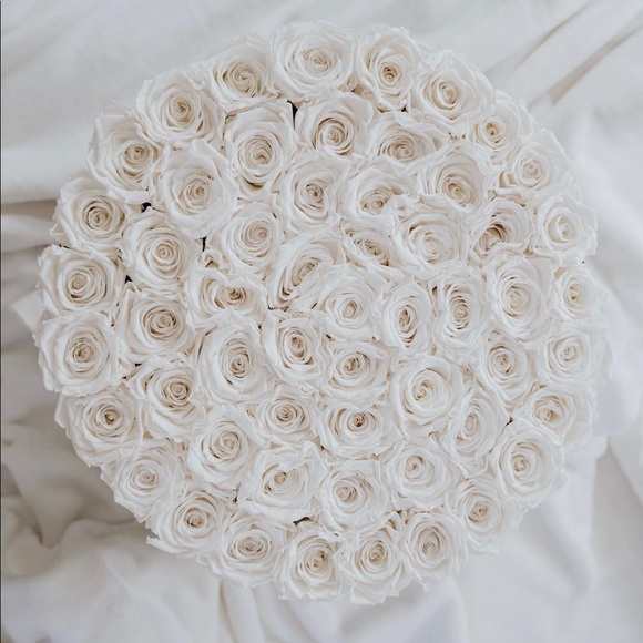 Preserved White Roses in Black Hatbox - Picture 2 of 8